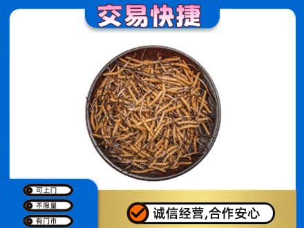 阿勒泰地区富蕴礼品回收虫草.jpg